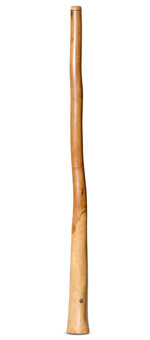 Wix Stix Opal Didgeridoo (WS350)